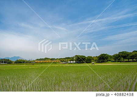 三岐鉄道の春 40882438
