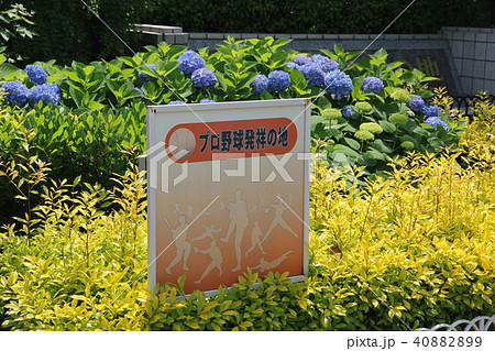 プロ野球発祥の地　読売巨人軍発祥の地　千葉県 40882899