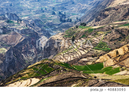 the mountain canyon 40883093