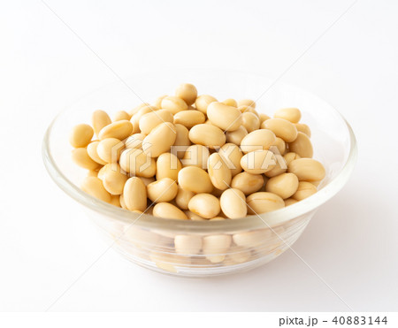 大豆水煮 大豆 水煮 大豆水煮 大豆 水煮 40883144