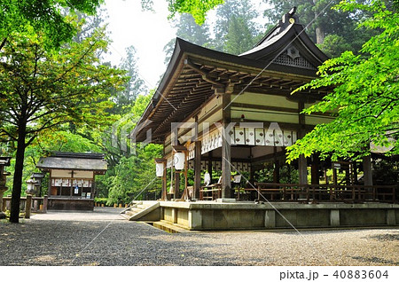 丹生川上神社(中社)拝殿と新緑 丹生川上神社(中社)拝殿と新緑 40883604