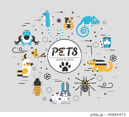 Pets flat illustration circle concept. Wildlife 40884473