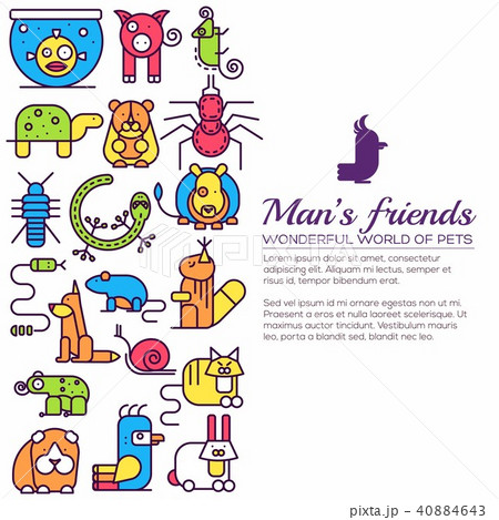 Animal flat thin line illustration icons set.  40884643