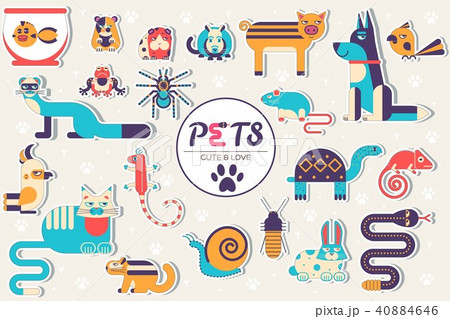 Pets illustration concept. Wildlife and home zoo  40884646