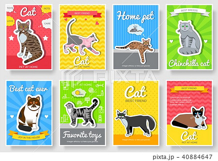 Breed cats vector set. Cute animal template Breed cats vector set. Cute animal template 40884647