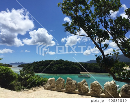 うみんちゅ 40885019