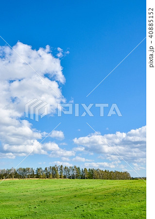 草原 草原 40885152