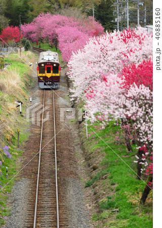 わたらせ渓谷鉄道沿線の旅 40885160