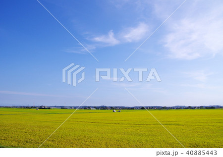 田園風景 40885443