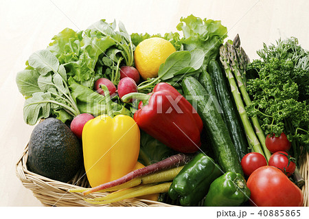 野菜の集合 40885865