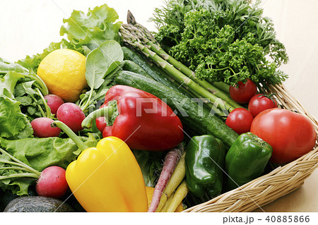 野菜の集合 40885866