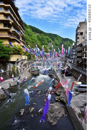 杖立温泉　鯉のぼり 40886010