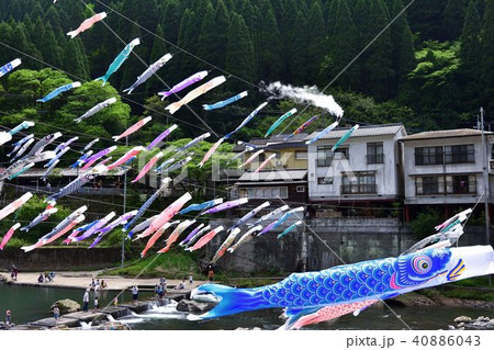 杖立温泉 鯉のぼり 杖立温泉 鯉のぼり 40886043