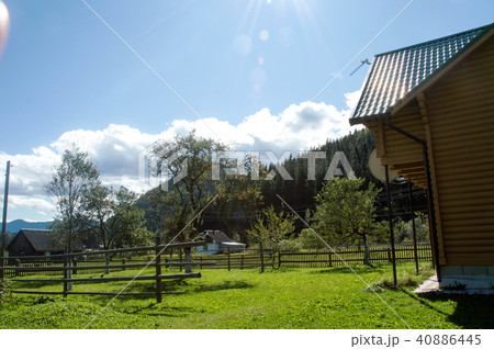 Carpathian mountains summer landscape with green 40886445