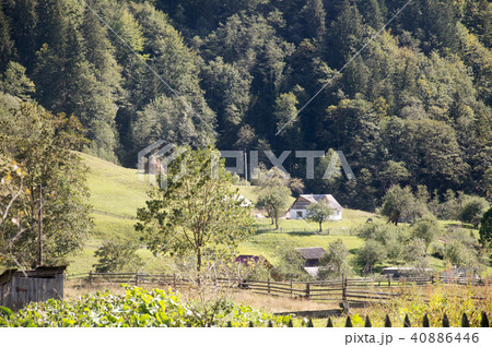 Carpathian mountains summer landscape with green Carpathian mountains summer landscape with green 40886446