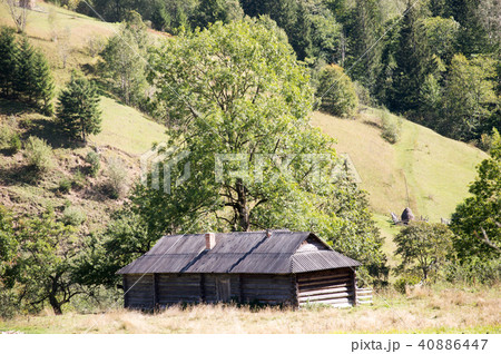Carpathian mountains summer landscape with green Carpathian mountains summer landscape with green 40886447