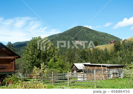 Carpathian mountains summer landscape with green 40886450