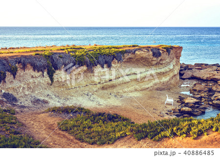 Sunset view to little coast with green grass Sunset view to little coast with green grass 40886485