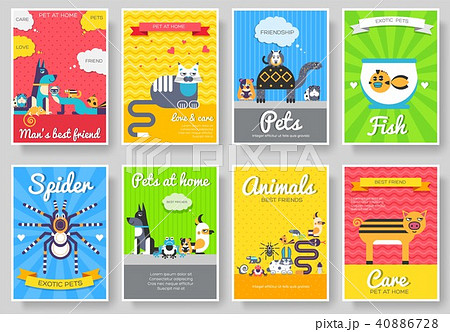 Animal vector brochure cards set. Home pets  40886728