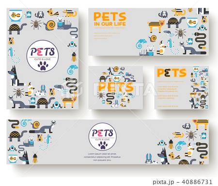 Animal vector brochure cards set. Home pets 40886731