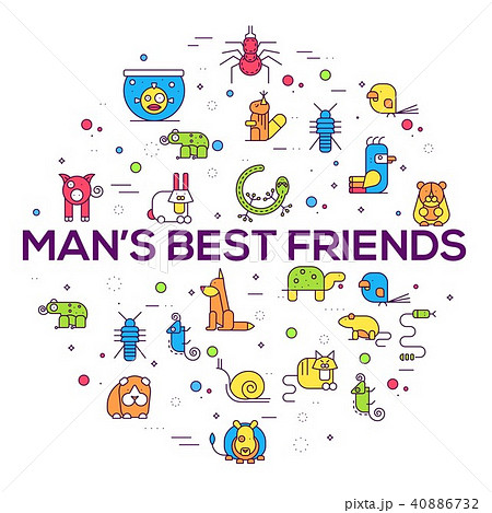 Animal flat line illustration icons circle set.  40886732
