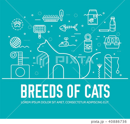 Vector thin line breed cats icons set. Cute outline animal illustrations  pet design, Stock Vector, Vector And Low Budget Royalty Free Image. Pic.  ESY-049130499