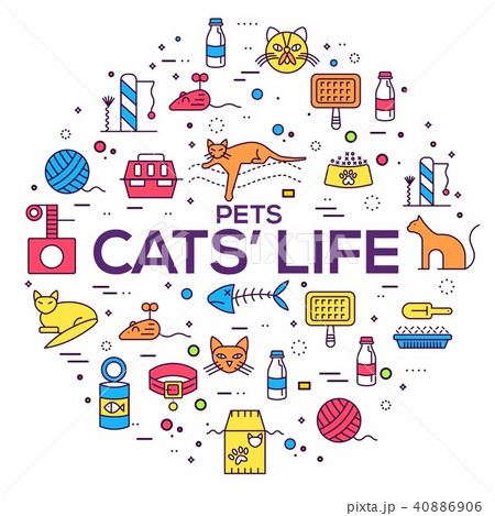 Vector Thin Line Breed Cats Icons Set. Cute Outline Animal Illustrations  Pet Design Stock Vector - Illustration of chinchilla, element: 113570537