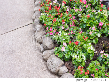 Stone flowerbed near the concrete pathway. 40888791