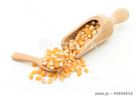 ポップコーンカーネル: Yellow Popcorn kernels  40888858