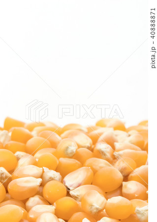 ポップコーンカーネル: Yellow Popcorn kernels  40888871