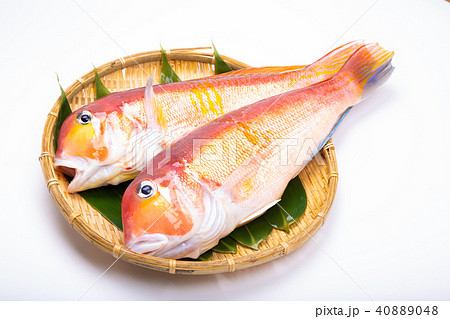 甘鯛　食材　 40889048