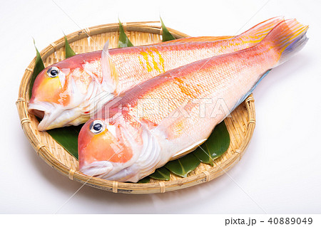 甘鯛 食材 甘鯛 食材 40889049
