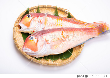 甘鯛 食材 甘鯛 食材 40889051