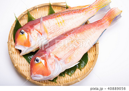 甘鯛 食材 甘鯛 食材 40889056