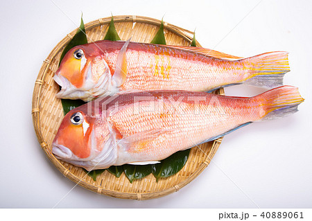 甘鯛 食材 甘鯛 食材 40889061