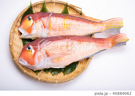 甘鯛　食材　 40889062
