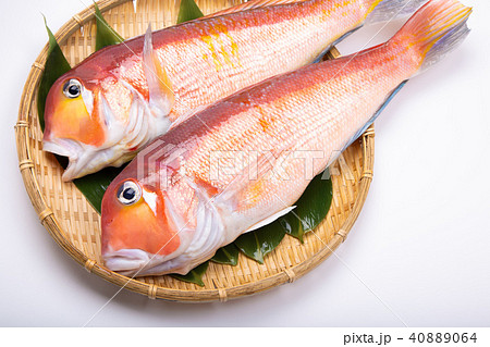 甘鯛　食材　 40889064