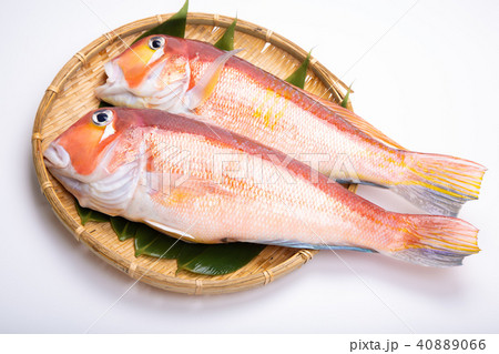 甘鯛　食材　 40889066