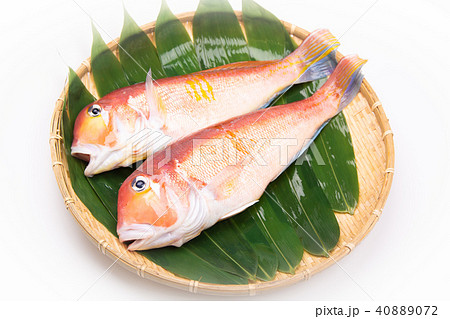 甘鯛 食材 甘鯛 食材 40889072
