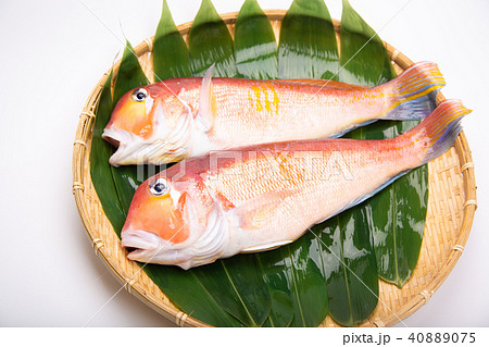 甘鯛 食材 甘鯛 食材 40889075