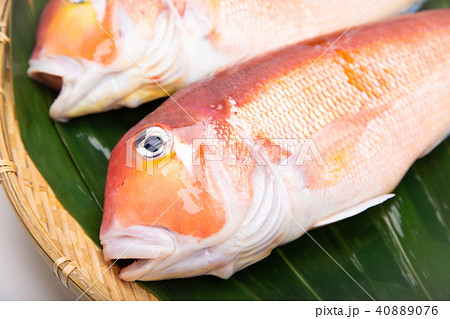甘鯛　食材　 40889076