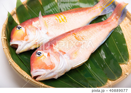 甘鯛 食材 甘鯛 食材 40889077