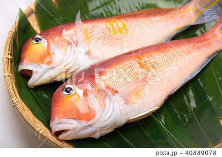 甘鯛 食材 甘鯛 食材 40889078