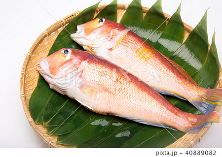 甘鯛　食材　 40889082
