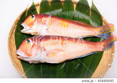 甘鯛 食材 甘鯛 食材 40889085
