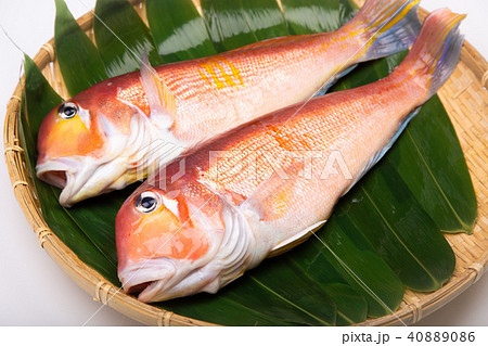 甘鯛　食材　 40889086