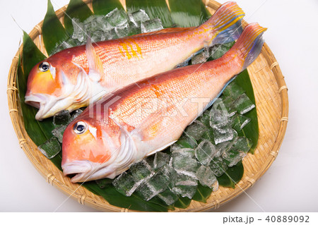 甘鯛 食材 甘鯛 食材 40889092