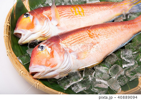 甘鯛 食材 甘鯛 食材 40889094