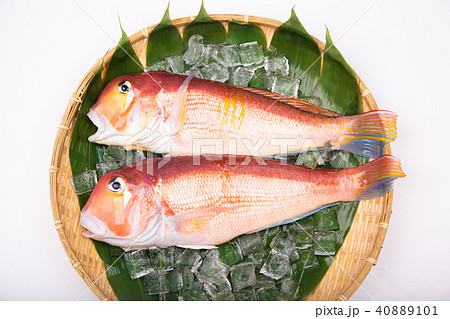 甘鯛　食材　 40889101