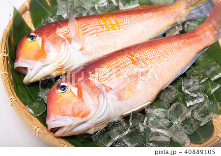 甘鯛　食材　 40889105